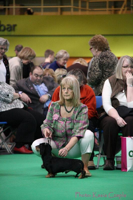 Crufts2011_2 835.jpg